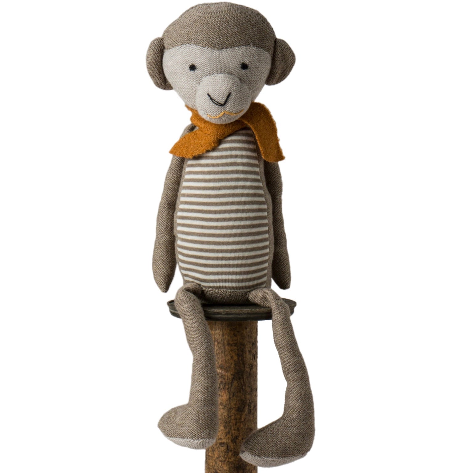 Cheeky Monkey