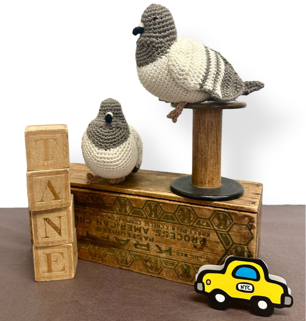 City Pigeon